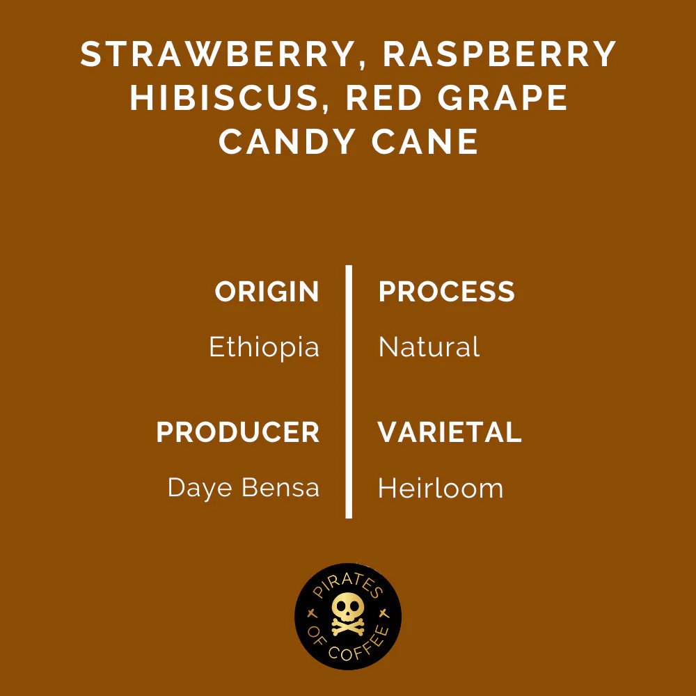 Pirates Fruit Punch Filter - Ethiopia Natural (250g)