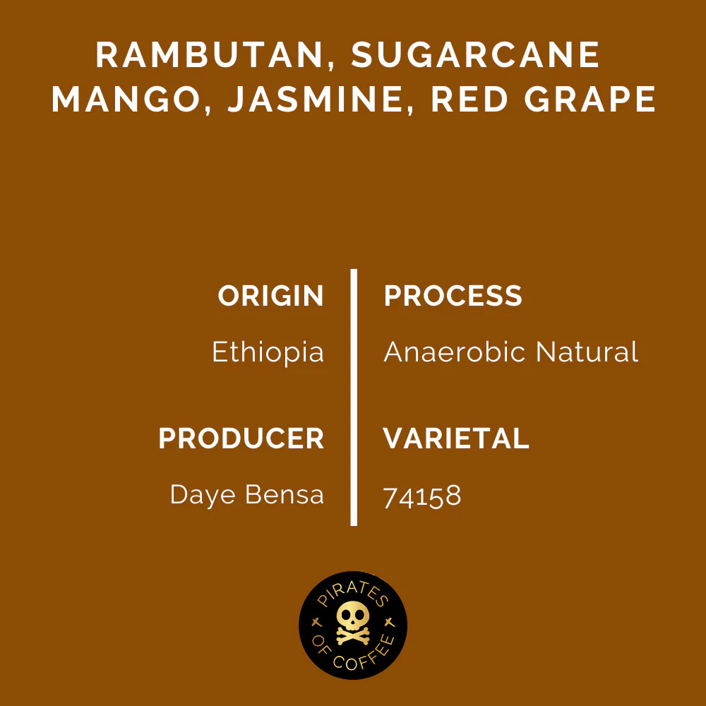 Pirates Hamasho Anaerobic Filter - Ethiopia (250g)