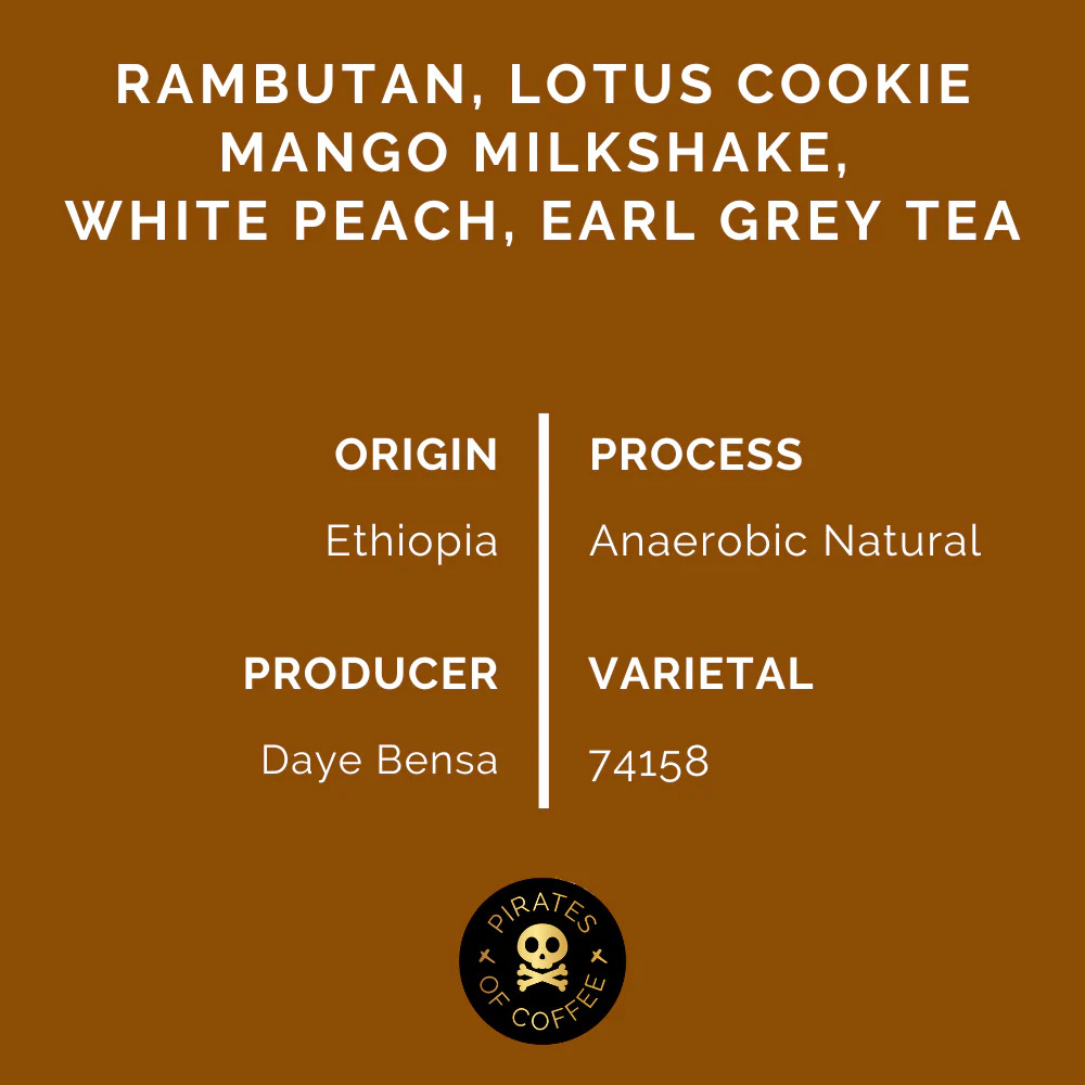 Pirates Hamasho Anaerobic Espresso - Ethiopia (250g)