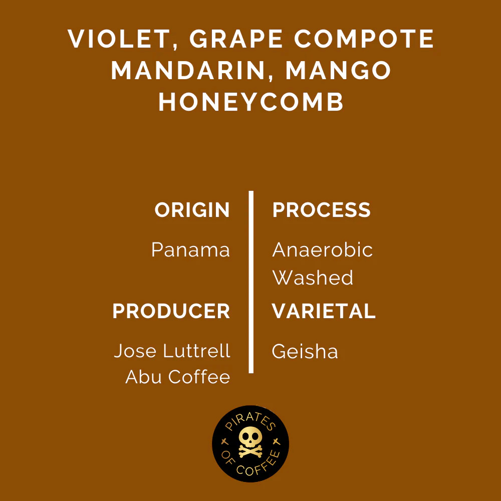 Pirates Abu GW-1720 Panama Anaerobic Washed (100g)