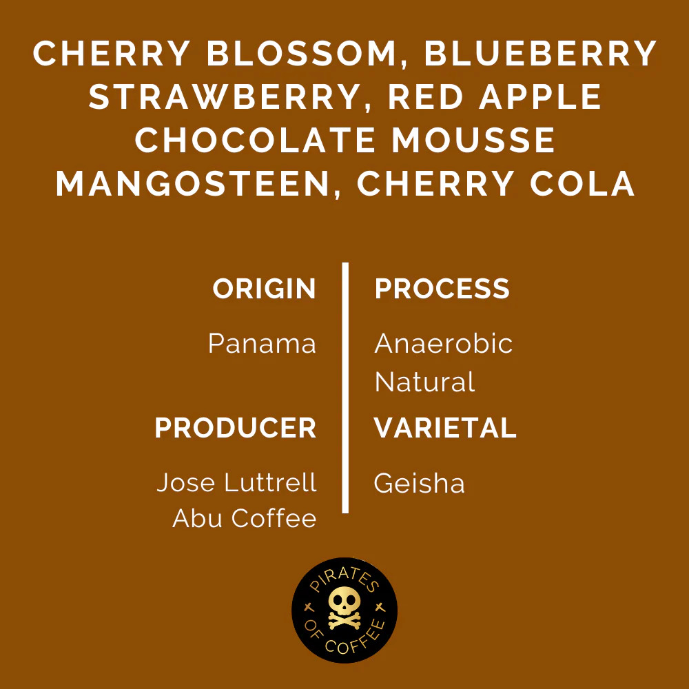 Pirates Abu GN-1847 Panama Anaerobic Natural (100g)