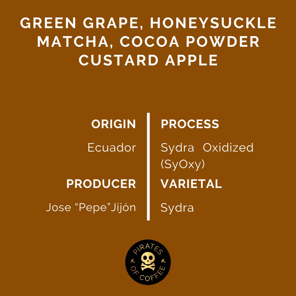 Pirates Pepe Jijon Syoxy - Ecuador Sydra (100g)