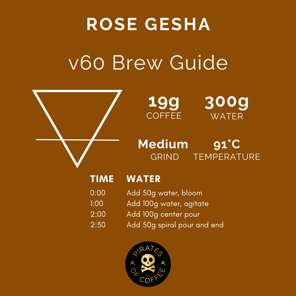 Pirates Pepe Rose Gesha - Ecuador Anaerobic Washed (100g)