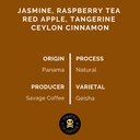 Pirates Anthem Geisha - Panama Natural (100g)