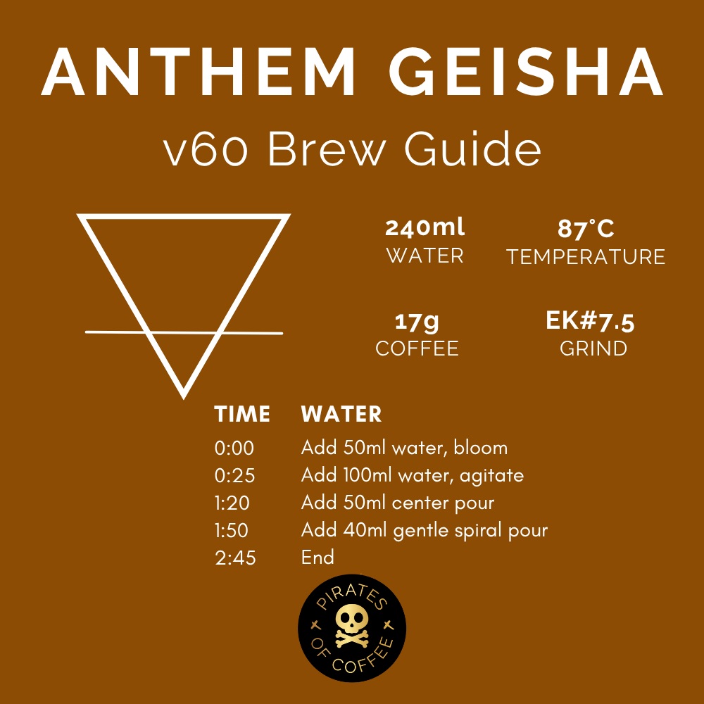 Pirates Anthem Geisha - Panama Natural (100g)