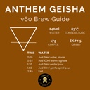 Pirates Anthem Geisha - Panama Natural (100g)