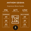 Pirates Anthem Geisha - Panama Natural (100g)