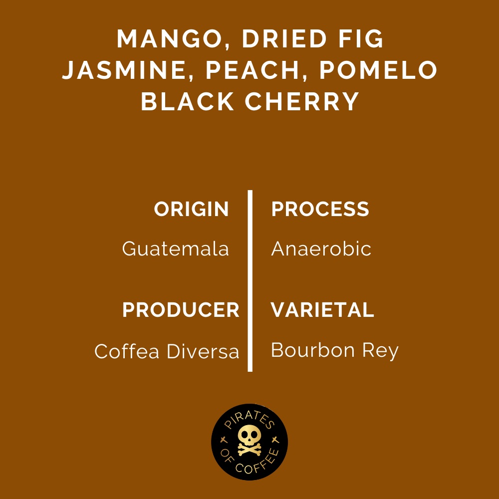 Pirates Rey Rey - Guatemala Anaerobic (100g)