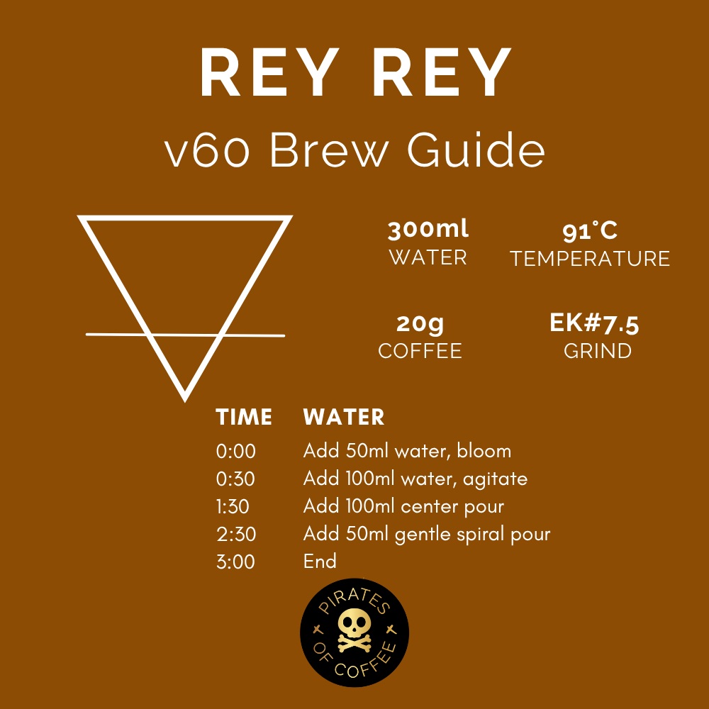 Pirates Rey Rey - Guatemala Anaerobic (100g)