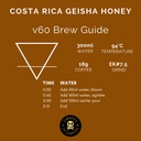Pirates Costa Rica Honey Geisha - Costa Rica Honey (100g)