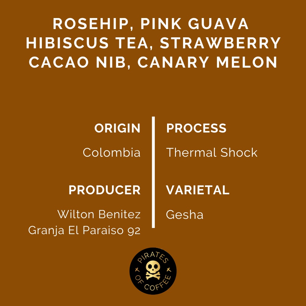 Pirates Botanica Geisha - Colombia Thermal Shock (100g)