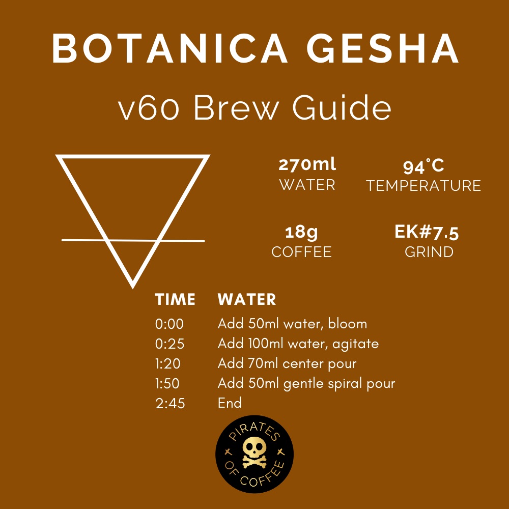 Pirates Botanica Geisha - Colombia Thermal Shock (100g)