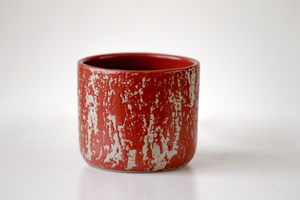 Kaloka C11 M Anomaly Samba