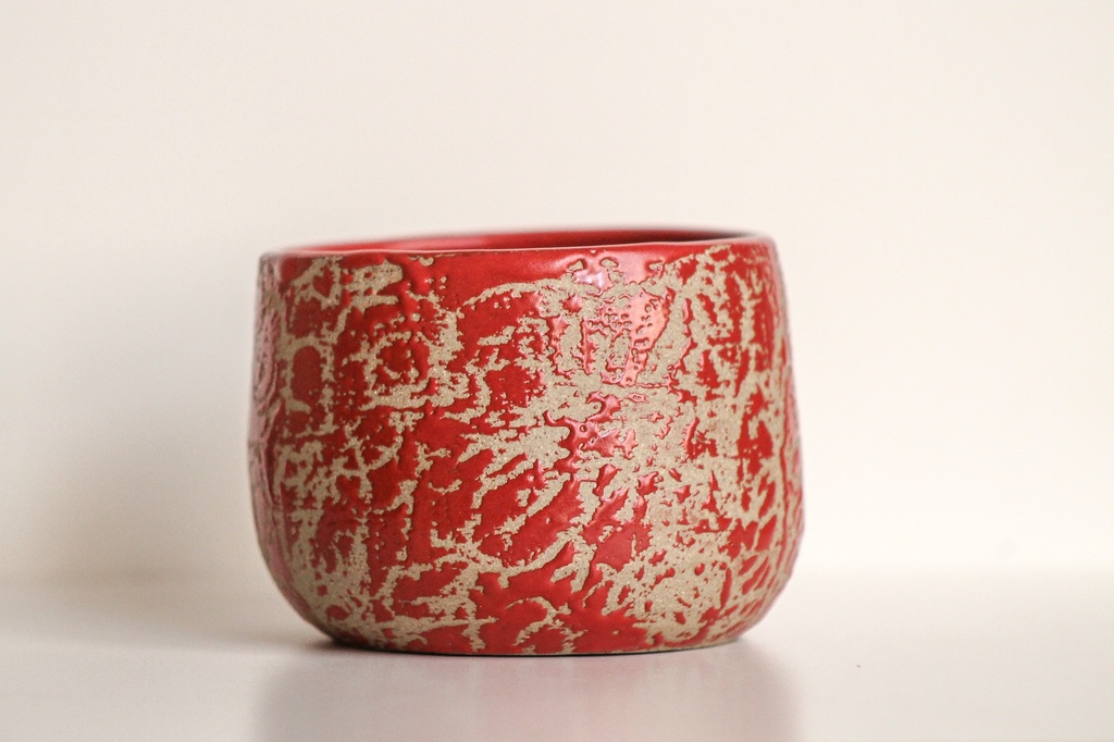 Kaloka C29 L Anomaly Tango