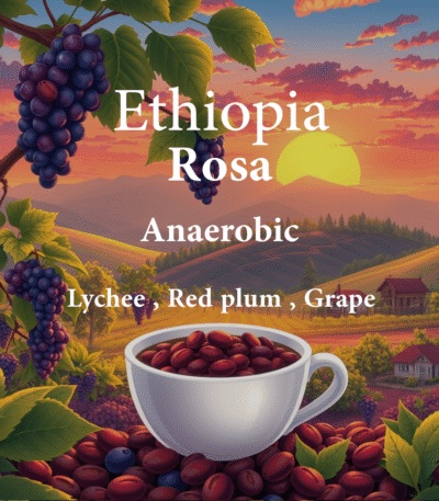 Alez | Ethiopia Rosa 250G