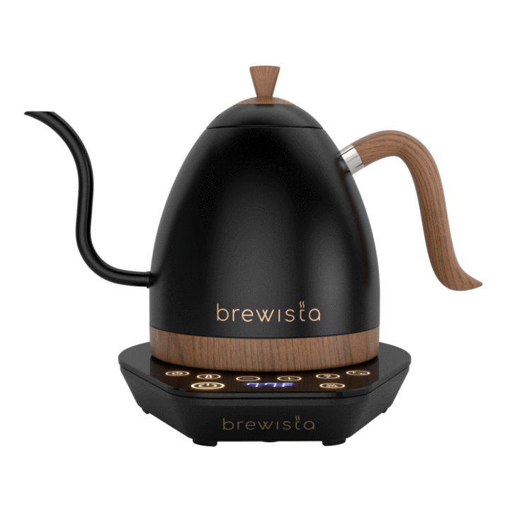 Brewista Artisan Electric Gooseneck Kettle 	 Matt Black 600ML