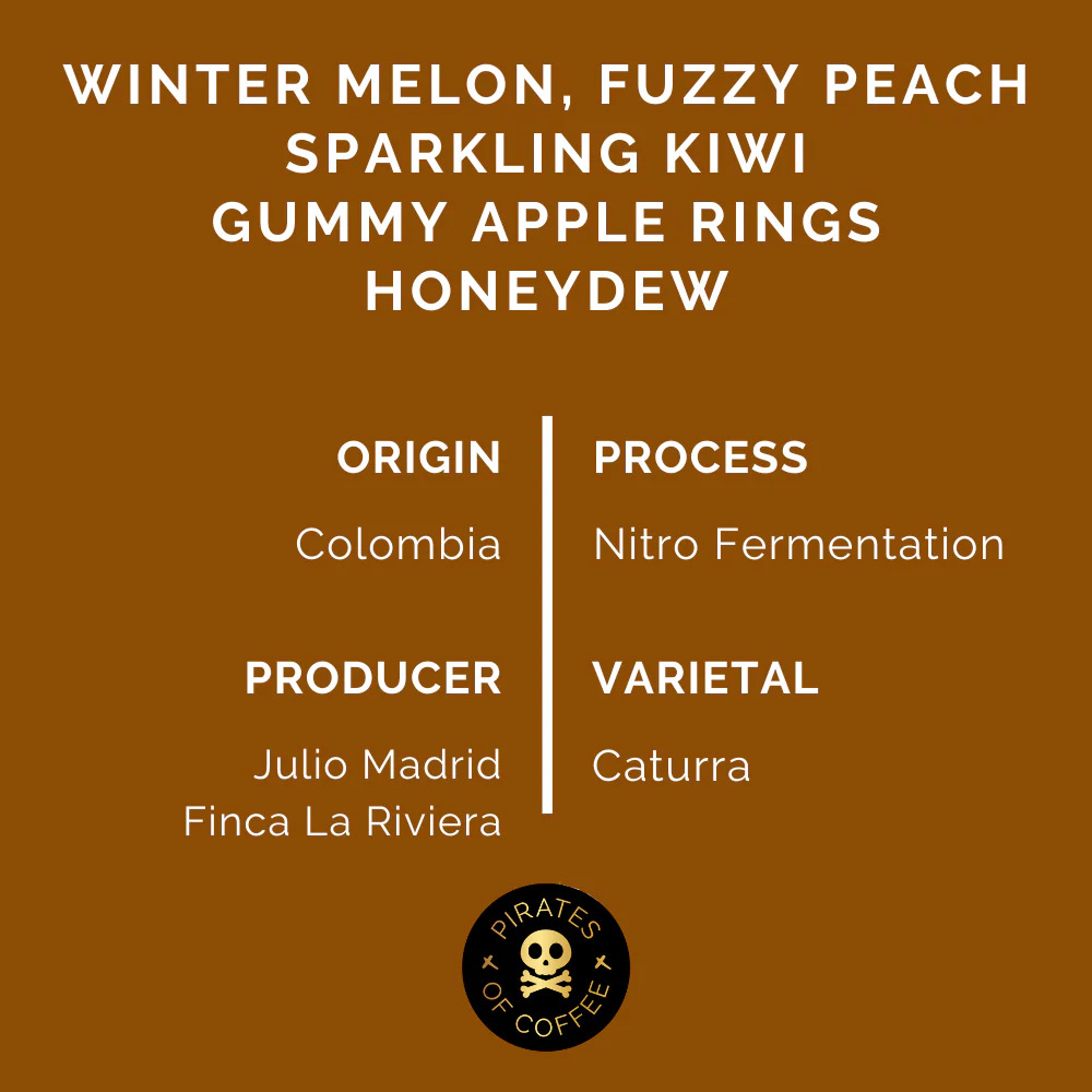 Pirates Melonfizz - Colombia Nitro Fermentation (250g)