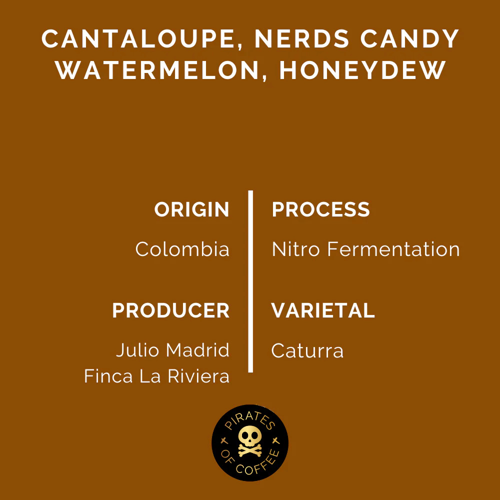 Pirates Melonhead Nitro - Colombia Nitro Fermentation (250g)