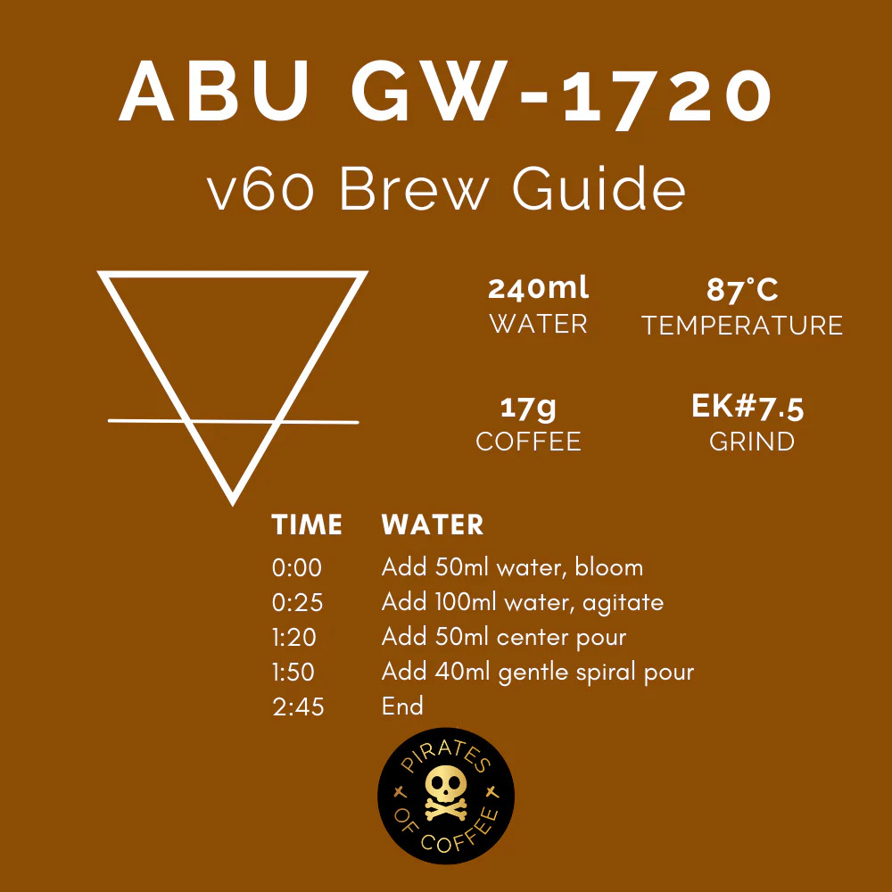 Pirates Abu GW-1720 Panama Anaerobic Washed (100g)