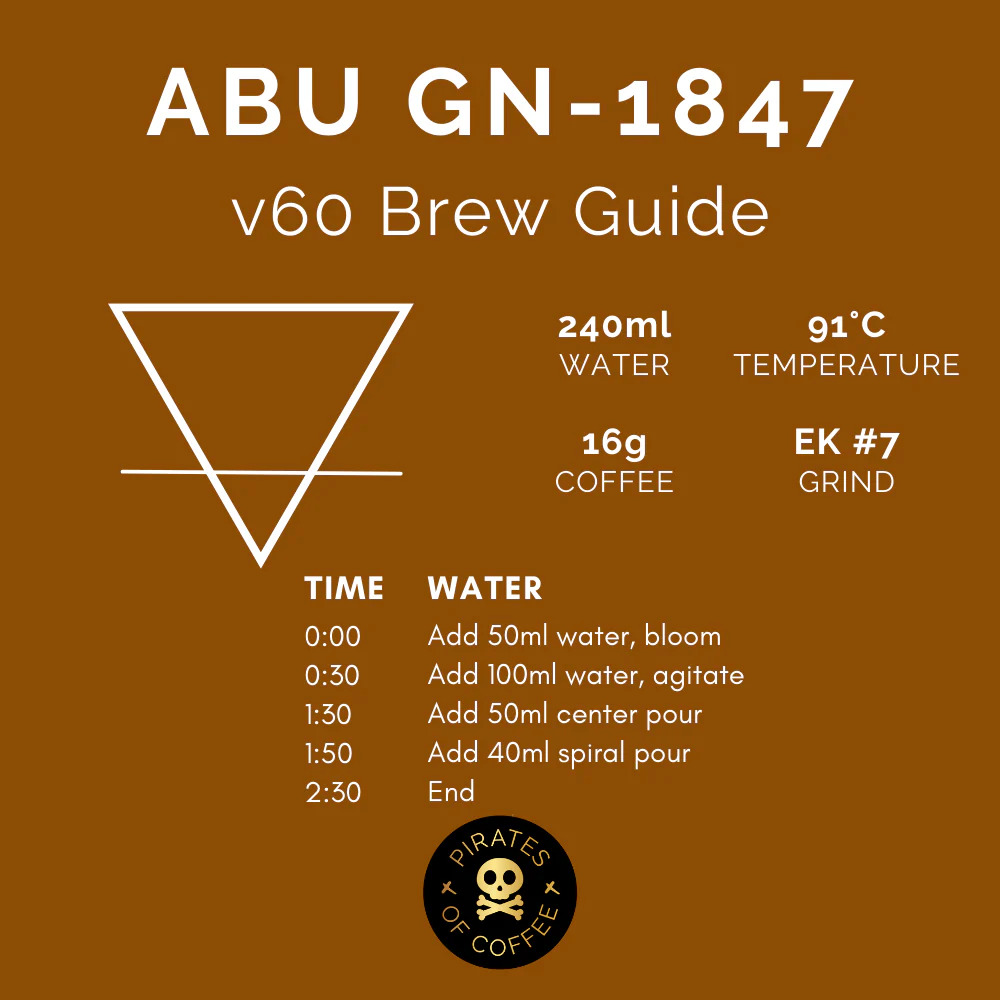 Pirates Abu GN-1847 Panama Anaerobic Natural (100g)