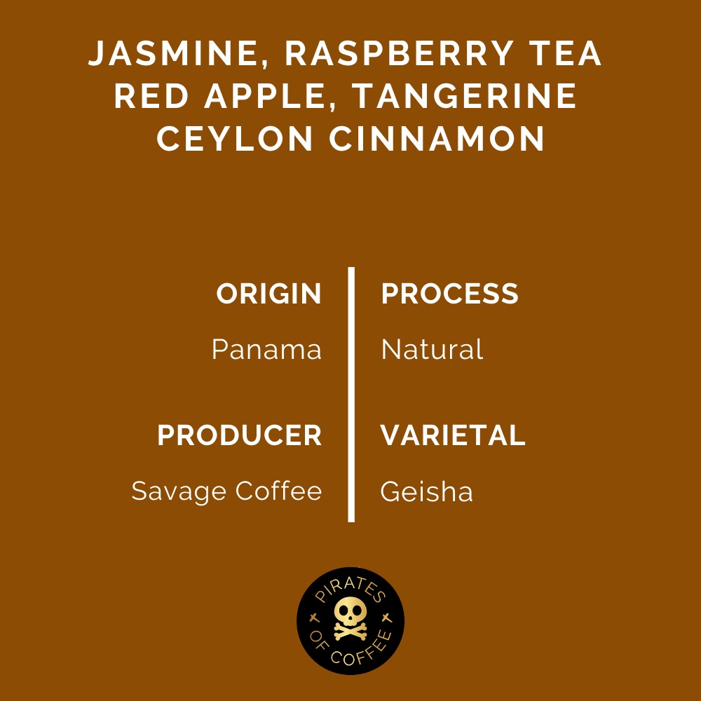 Pirates Anthem Geisha - Panama Natural (100g)