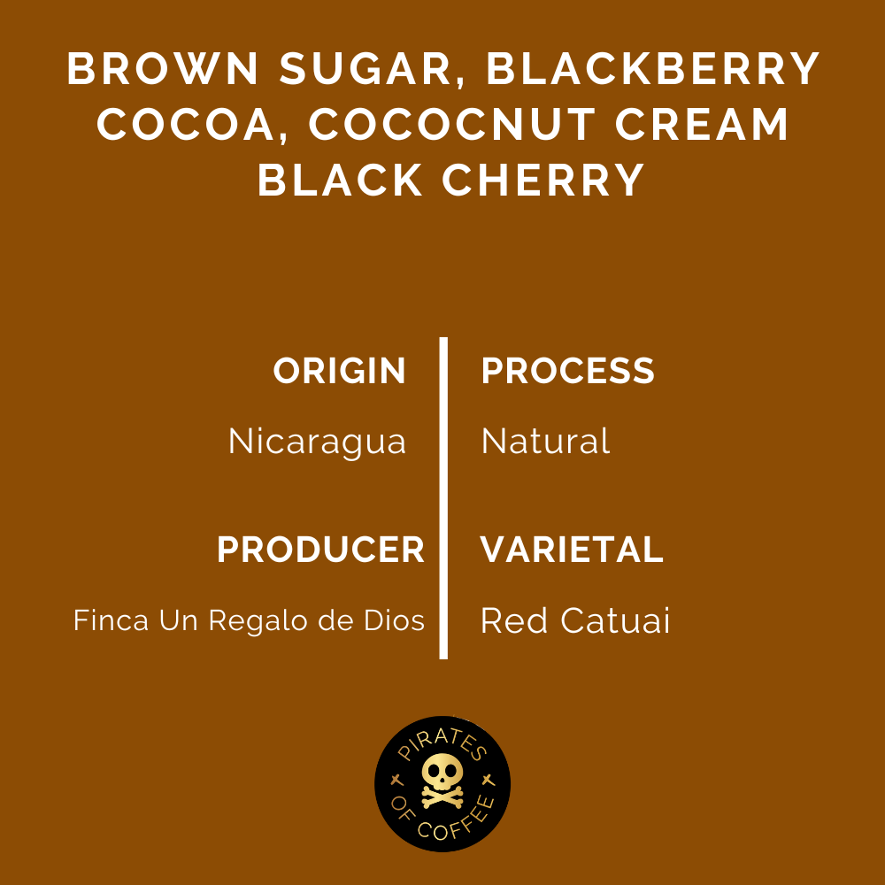 Pirates Red Catuai Nicaragua Natural 250 G