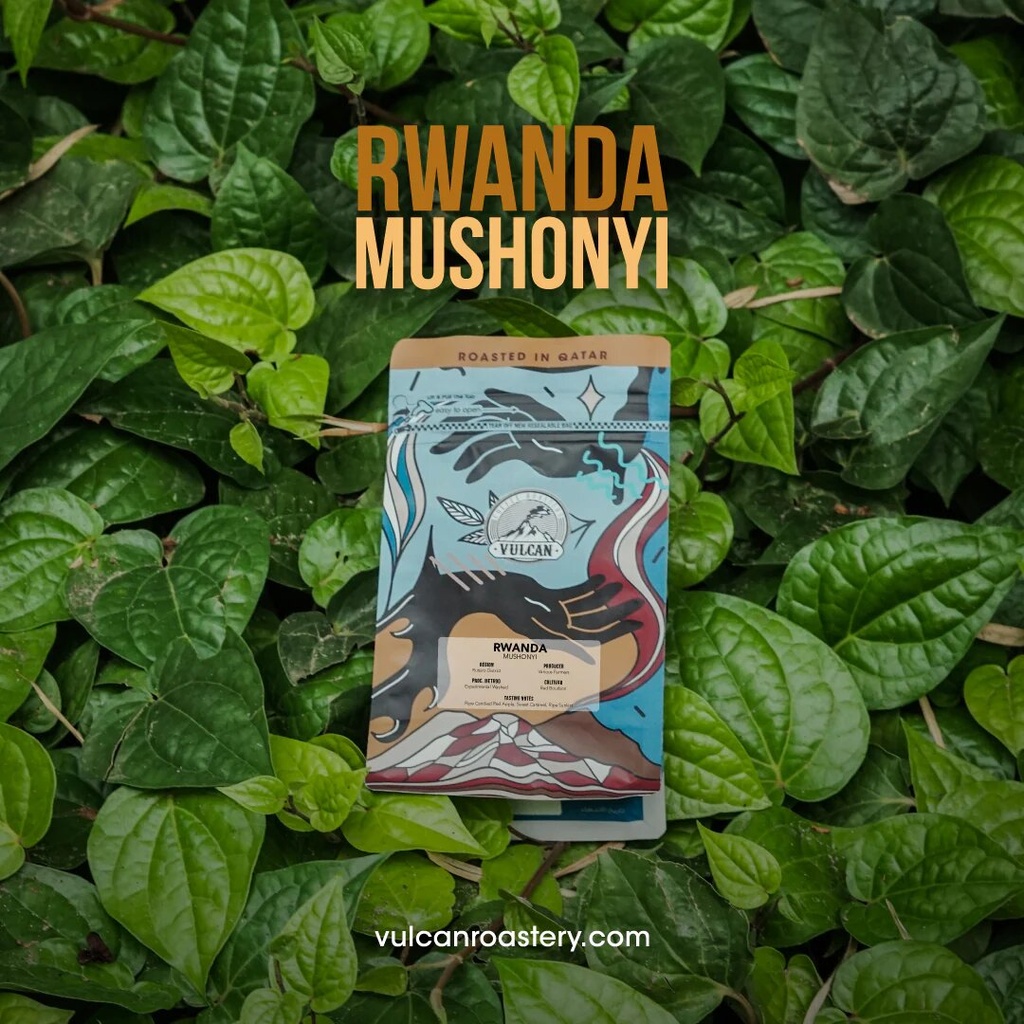 Vulcan Rwanda Mushonyi Filter 250 G