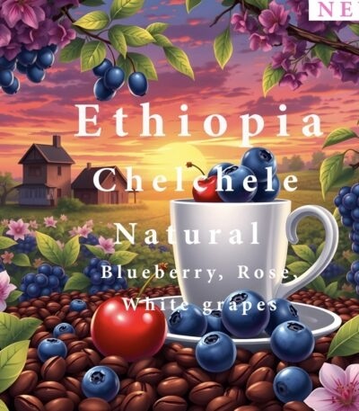 Alez | Ethiopia Chelehele 250G