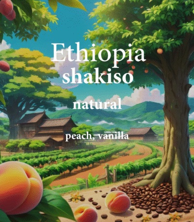 Alez | Ethiopia Shakiso 250G