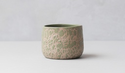 [SX01567] Kaloka C29 L Anomaly Sage